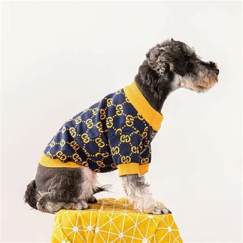 gucci cat clothes|designer dog clothes gucci.